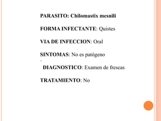 PARASITO: Chilomastix mesnili
FORMA INFECTANTE: Quistes
VIA DE INFECCION: Oral
SINTOMAS: No es patógeno
·
DIAGNOSTICO: Examen de frescas
TRATAMIENTO: No
 