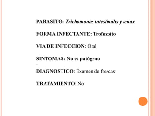 PARASITO: Trichomonas intestinalis y tenax
FORMA INFECTANTE: Trofozoíto
VIA DE INFECCION: Oral
SINTOMAS: No es patógeno
·
DIAGNOSTICO: Examen de frescas
TRATAMIENTO: No
 