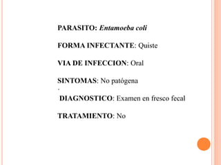 PARASITO: Entamoeba coli
FORMA INFECTANTE: Quiste
VIA DE INFECCION: Oral
SINTOMAS: No patógena
·
DIAGNOSTICO: Examen en fresco fecal
TRATAMIENTO: No
 