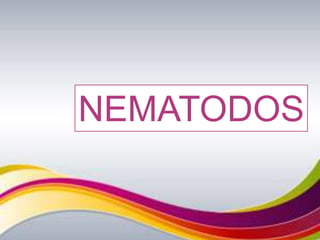 NEMATODOS
 