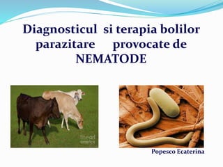 Diagnosticul si terapia bolilor
parazitare provocate de
NEMATODE
Popesco Ecaterina
 