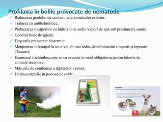 Profilaxia în bolile provocate de nematode
 Reducerea gradului de contaminare a mediului exterior;
 Tratarea cu antihelmintice;
 Prelucrarea încăperilor cu hidroxid de sodiu/vapori de apă sub presiune(A.suum)
 Condiții bune de igienă.
 Deșeurile prelucrate biotermic;
 Menținerea infestației la un nivel cît mai redus,dehelmintizări timpurii și repetate
(T.canis);
 Examenul trichiniloscopic se va executa în mod obligatoriu pentru tăierile de
animale receptive.
 Măsurile de combatere a dipterelor vectori.
 Dezinsectizările în perioadele calde;
 