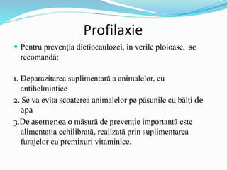 Profilaxie
 Pentru prevenţia dictiocaulozei, în verile ploioase, se
recomandă:
1. Deparazitarea suplimentară a animalelor, cu
antihelmintice
2. Se va evita scoaterea animalelor pe păşunile cu bălţi de
apa
3.De asemenea o măsură de prevenţie importantă este
alimentaţia echilibrată, realizată prin suplimentarea
furajelor cu premixuri vitaminice.
 