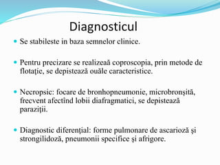 Diagnosticul
 Se stabileste in baza semnelor clinice.
 Pentru precizare se realizeaă coproscopia, prin metode de
flotaţie, se depistează ouăle caracteristice.
 Necropsic: focare de bronhopneumonie, microbronşită,
frecvent afectînd lobii diafragmatici, se depistează
paraziţii.
 Diagnostic diferenţial: forme pulmonare de ascarioză şi
strongilidoză, pneumonii specifice şi afrigore.
 