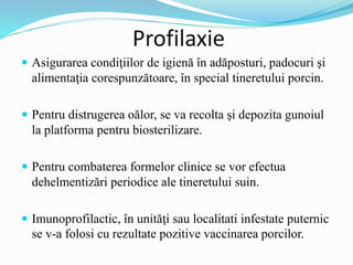 Profilaxie
 Asigurarea condiţiilor de igienă în adăposturi, padocuri şi
alimentaţia corespunzătoare, în special tineretului porcin.
 Pentru distrugerea oălor, se va recolta şi depozita gunoiul
la platforma pentru biosterilizare.
 Pentru combaterea formelor clinice se vor efectua
dehelmentizări periodice ale tineretului suin.
 Imunoprofilactic, în unităţi sau localitati infestate puternic
se v-a folosi cu rezultate pozitive vaccinarea porcilor.
 