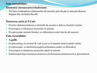 Fam.Anizakidae:
Toxocara (neoascaris)vitulorum:
 D.Clinic:evidențierea eliminarilor de ascarizi prin fecale si mirosul aleaceu
degajat din cavitatea bucală.
Toxocara canis și T.Cati:
 D.clinic:abdomen balonat și eliminări de ascarizi o dată cu fecalele/vomitat.
 D.necropsic:evidențierea ascarizilor în intestin.
 D.coproscopic:metoda flotației ,cu diferențirea oului fata de alti ascarizi.
Fam.Ascarididae:
 A.galli:
 D.epizootolog.:în sezonul de vară la pui și în toamnă-iarnă la păsări adulte.
 D.coproscopic: ovohelmintoscopic(confundarea ouălor cu Heterakis).
 D.necropsic:evidențierea ascarizilor adulți în intestin.
 D.diferențial:hipovitaminoze,eimerioze,trichomonoze,histomonoză și spirochetoză.
 