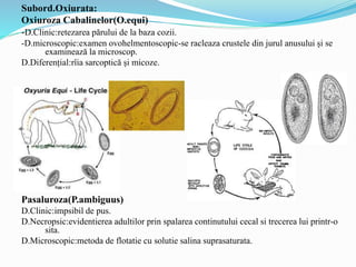 Subord.Oxiurata:
Oxiuroza Cabalinelor(O.equi)
-D.Clinic:retezarea părului de la baza cozii.
-D.microscopic:examen ovohelmentoscopic-se racleaza crustele din jurul anusului și se
examinează la microscop.
D.Diferențial:rîia sarcoptică și micoze.
Pasaluroza(P.ambiguus)
D.Clinic:impsibil de pus.
D.Necropsic:evidentierea adultilor prin spalarea continutului cecal si trecerea lui printr-o
sita.
D.Microscopic:metoda de flotatie cu solutie salina suprasaturata.
 