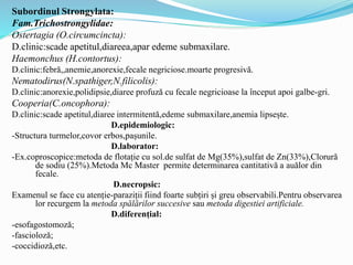 Subordinul Strongylata:
Fam.Trichostrongylidae:
Ostertagia (O.circumcincta):
D.clinic:scade apetitul,diareea,apar edeme submaxilare.
Haemonchus (H.contortus):
D.clinic:febră,,anemie,anorexie,fecale negriciose.moarte progresivă.
Nematodirus(N.spathiger,N.filicolis):
D.clinic:anorexie,polidipsie,diaree profuză cu fecale negricioase la început apoi galbe-gri.
Cooperia(C.oncophora):
D.clinic:scade apetitul,diaree intermitentă,edeme submaxilare,anemia lipsește.
D.epidemiologic:
-Structura turmelor,covor erbos,pașunile.
D.laborator:
-Ex.coproscopice:metoda de flotație cu sol.de sulfat de Mg(35%),sulfat de Zn(33%),Clorură
de sodiu (25%).Metoda Mc Master permite determinarea cantitativă a auălor din
fecale.
D.necropsic:
Examenul se face cu atenție-paraziții fiind foarte subțiri și greu observabili.Pentru observarea
lor recurgem la metoda spălărilor succesive sau metoda digestiei artificiale.
D.diferențial:
-esofagostomoză;
-fascioloză;
-coccidioză,etc.
 