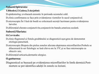 Subord.Spirurata:
T.Rhodesi,T.Gulosa,T.skrjabini:
D.epidemiolog.:evoluează enzootic în perioada sezonului cald.
D.clinic:confirmarea se face prin evidențierea viermilor în sacul conjunctival.
D.microscopic:În I fază de boală se colectează secreții lacrimare pentu evidențierea
larvelor.
D.diferențial:cherato-conjunctivite,conjunctivite banale,setarioza oculară.
Subord.Filariata:
O.Cervicalis:
D.clinic:flegmonul și fistula greabănului se diagnostică ușor,greu de demonstrat
etiologia parazitară.
D.microscopic:Biopsia din pielea zonelor afectate-depistarea microfilariilor.Probele se
dilacerează în ser fiziologic se lasă cîteva ore la 37C,și se face microscopia cu
obiectiv mic.
D.diferențial:urticaria,dermatite alergice.
O.gutturosa:
Diagnosticul se bazează pe evidențierea microfilariilor în limfa dermică.Post-
mortem se pot identifica adulții în zonele cu leziuni.
 
