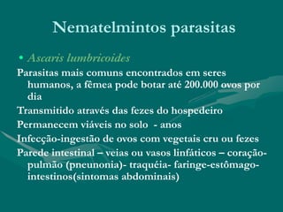 Nematelmintos parasitas
• Ascaris lumbricoides
Parasitas mais comuns encontrados em seres
humanos, a fêmea pode botar até 200.000 ovos por
dia
Transmitido através das fezes do hospedeiro
Permanecem viáveis no solo - anos
Infecção-ingestão de ovos com vegetais cru ou fezes
Parede intestinal – veias ou vasos linfáticos – coração-
pulmão (pneunonia)- traquéia- faringe-estômago-
intestinos(sintomas abdominais)
 