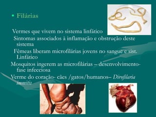 • Filárias
Vermes que vivem no sistema linfático
Sintomas associados à inflamação e obstrução deste
sistema
Fêmeas liberam microfilárias jovens no sangue e sist.
Linfático
Mosquitos ingerem as microfilárias – desenvolvimento-
fase infecciosa
Verme do coração- cães /gatos/humanos– Dirofilaria
immitis
 