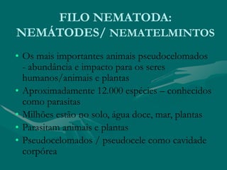 FILO NEMATODA:
NEMÁTODES/ NEMATELMINTOS
• Os mais importantes animais pseudocelomados
- abundância e impacto para os seres
humanos/animais e plantas
• Aproximadamente 12.000 espécies – conhecidos
como parasitas
• Milhões estão no solo, água doce, mar, plantas
• Parasitam animais e plantas
• Pseudocelomados / pseudocele como cavidade
corpórea
 