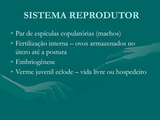SISTEMA REPRODUTOR
• Par de espículas copulatórias (machos)
• Fertilização interna – ovos armazenados no
útero até a postura
• Embriogênese
• Verme juvenil eclode – vida livre ou hospedeiro
 