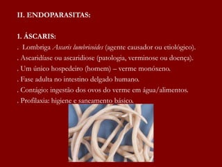 II. ENDOPARASITAS:
1. ÁSCARIS:
. Lombriga Ascaris lumbricoides (agente causador ou etiológico).
. Ascaridíase ou ascaridiose (patologia, verminose ou doença).
. Um único hospedeiro (homem) – verme monóxeno.
. Fase adulta no intestino delgado humano.
. Contágio: ingestão dos ovos do verme em água/alimentos.
. Profilaxia: higiene e saneamento básico.
 