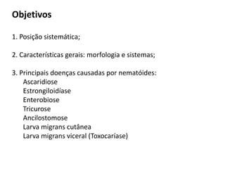 Objetivos
1. Posição sistemática;
2. Características gerais: morfologia e sistemas;
3. Principais doenças causadas por nematóides:
Ascaridiose
Estrongiloidíase
Enterobiose
Tricurose
Ancilostomose
Larva migrans cutânea
Larva migrans viceral (Toxocaríase)
 
