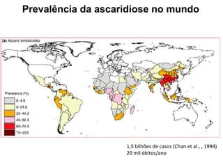 Prevalência da ascaridiose no mundo
1,5 bilhões de casos (Chan et al., , 1994)
20 mil óbitos/ano
 