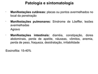 Patologia e sintomatologia
•
Manifestações cutâneas: placas ou pontos avermelhados no
local da penetração
•
Manifestações pulmonares: Síndrome de Löeffler, lesões
avermelhadas
Agravo
•
Manifestações intestinais: diarréia, constipação, dores
abdominais, perda de apetite, náuseas, vômitos, anemia,
perda de peso, fraqueza, desidratação, irritabilidade
Eosinofilia: 15-40%
 