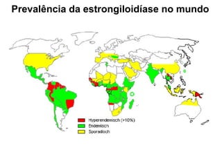 Prevalência da estrongiloidíase no mundo
 