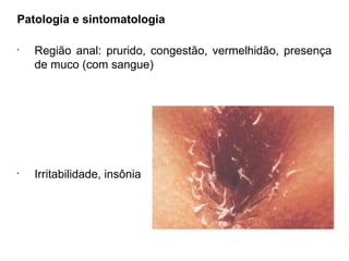 Patologia e sintomatologia
•
Região anal: prurido, congestão, vermelhidão, presença
de muco (com sangue)
•
Irritabilidade, insônia
 