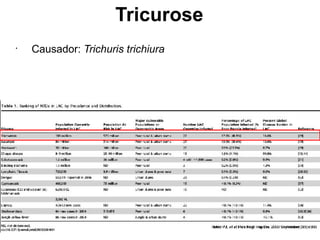 Tricurose
•
Causador: Trichuris trichiura
 
