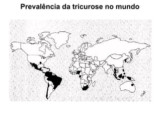 Prevalência da tricurose no mundo
 