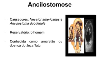 Ancilostomose
•
Causadores: Necator americanus e
Ancylostoma duodenale
•
Reservatório: o homem
•
Conhecida como amarelão ou
doença do Jeca Tatu
 