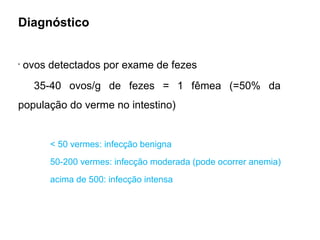 Diagnóstico
•
ovos detectados por exame de fezes
35-40 ovos/g de fezes = 1 fêmea (=50% da
população do verme no intestino)
< 50 vermes: infecção benigna
50-200 vermes: infecção moderada (pode ocorrer anemia)
acima de 500: infecção intensa
 