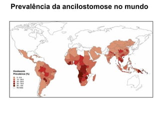 Prevalência da ancilostomose no mundo
 