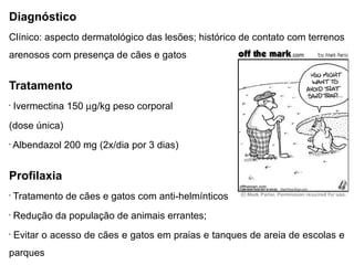 Diagnóstico
Clínico: aspecto dermatológico das lesões; histórico de contato com terrenos
arenosos com presença de cães e gatos
Tratamento
•
Ivermectina 150 µg/kg peso corporal
(dose única)
•
Albendazol 200 mg (2x/dia por 3 dias)
Profilaxia
•
Tratamento de cães e gatos com anti-helmínticos
•
Redução da população de animais errantes;
•
Evitar o acesso de cães e gatos em praias e tanques de areia de escolas e
parques
 
