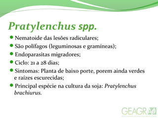 Pratylenchus spp.
Nematoide das lesões radiculares;
São polífagos (leguminosas e gramíneas);
Endoparasitas migradores;
Ciclo: 21 a 28 dias;
Sintomas: Planta de baixo porte, porem ainda verdes
e raízes escurecidas;
Principal espécie na cultura da soja: Pratylenchus
brachiurus.
 