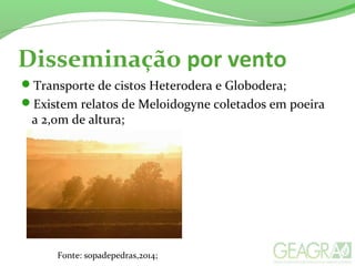 Disseminação por vento
Transporte de cistos Heterodera e Globodera;
Existem relatos de Meloidogyne coletados em poeira
a 2,0m de altura;
Fonte: sopadepedras,2014;
 