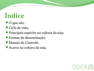 Índice
O que são;
Ciclo de vida;
Principais espécies na cultura da soja;
Formas de disseminação;
Manejo de Controle;
Ácaros na cultura da soja.
 