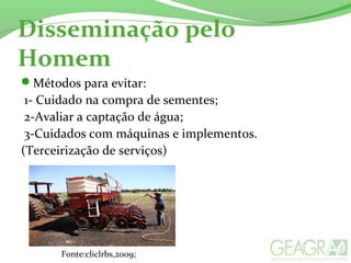 Disseminação pelo
Homem
Métodos para evitar:
1- Cuidado na compra de sementes;
2-Avaliar a captação de água;
3-Cuidados com máquinas e implementos.
(Terceirização de serviços)
Fonte:cliclrbs,2009;
 