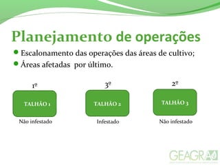 Planejamento de operações
Escalonamento das operações das áreas de cultivo;
Áreas afetadas por último.
TALHÃO 1 TALHÃO 2 TALHÃO 3
Não infestado Não infestadoInfestado
1º 2º3º
 