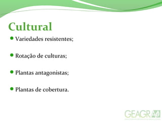 Cultural
Variedades resistentes;
Rotação de culturas;
Plantas antagonistas;
Plantas de cobertura.
 