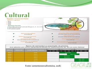 Cultural
Fonte: sementesnovafronteira, 2018;
 