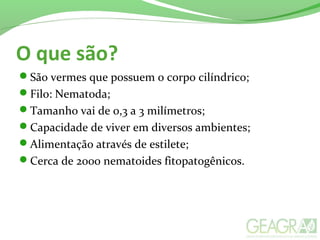 O que são?
São vermes que possuem o corpo cilíndrico;
Filo: Nematoda;
Tamanho vai de 0,3 a 3 milímetros;
Capacidade de viver em diversos ambientes;
Alimentação através de estilete;
Cerca de 2000 nematoides fitopatogênicos.
 