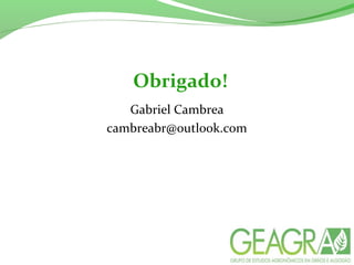 Obrigado!
Gabriel Cambrea
cambreabr@outlook.com
 