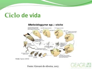 Ciclo de vida
Fonte: Giovani de oliveira, 2017;
 