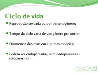 Ciclo de vida
Reprodução sexuada ou por partenogênese;
Tempo do ciclo varia de um gênero pro outro;
Dormência dos ovos em algumas espécies;
Podem ser endoparasitas, semiendoparasitas e
ectoparasitas.
 