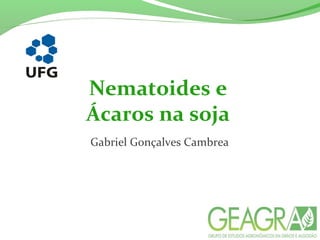 Nematoides e
Ácaros na soja
Gabriel Gonçalves Cambrea
 