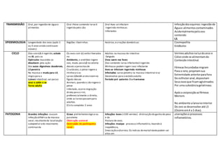 TRANSMISSÂO Oral,por ingestão de água e
alimentos
Oral :Peixe contendo larva é
ingerido pelo cão
Oral Aves seinfectam
Ingerindo minhocas
Infectadas
Infecçãodos equinos:ingestãode
Águae alimentoscontaminados
Acidentalmentepeloovo
contendo
L3.
EPIDEMIOLOGIA Longevidade dos ovos (após 3
ou 4 anos ainda continuam
viáveis)
Regiões ribeirinhas Aviários,ecriações domésticas Cosmopolita
Estábulos
CICLO Ovo com L3 é ingerido,eclode
no ID, pois os
Opérculos mucoides se
dissolvem pela ação
Dos sucos digestivos duodenais,
L3 penetra
Na mucosa e muda para L4,
migra para o
Lúmen intestinal,vai parao
ceco e colón e se
Torna adulta
Os ovos com L1 serão liberados
no
Ambiente, o anelídeo ingere
ovo, muda para L2 no celoma
desses a parasitasde
Crustáceos,o peixe ingere a
minhoca e as
Larvas L3 e L4 se encistamno
fígado desses
Animais,quando o cão ingere o
peixe
Infectado, ocorre migração
direta para o rim,
preferencialmente o direito,
onde as larvaspassampara
adultos.
[Ciclo completo: 2 anos
Adultos na mucosa do intestino
Delgado
Ovos saem nas fezes
Ovo contendo larva infectanteé ingerido
Minhocas podem ingerir ovo infectante
Aves se infectam ingerindo minhocas
Infectadas Larva penetra na mucosa intestinal ese
Desenvolve para o estádio adulto
Período pré -patente: 3 a 4 semanas
Vermesadultosnaluzdoceco e
Cólononde se alimentamdo
Conteúdointestinal.
Fêmeasfecundadasmigram
Para o reto, projetamsua
Extremidade anteriorparafora
Do esfíncteranal,depositam
Seusovosque ficamaglutinados
Por uma substânciagelatinosa.
Apósa oviposiçãoasfêmeas
Morrem.
No ambiente alarvanointerior
Do ovo se desenvolve até L3
(Ocorre em4 a 5 dias).
PATOGENIA Grandes infecções causam
infecção diftérica da mucosa
cecal,resultanteda localização
subeptelial edo movimento
continuo da
Grave pielitehemorrágica ou
purulenta
Obstrução ureteral
Destruição do parênquima
renal –
Infecções leves (<100 vermes): diminuição do ganho de peso
e da
Postura de ovos.
Infecções maciças: processo inflamatório,levando à
inapetência,
Emaciação ediarreia.Os índices demortalidadepodem ser
altos em
ulceraçõese processos
inflamatórios.
 
