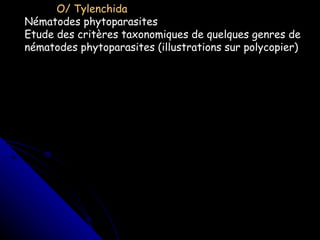 O/ Tylenchida Nématodes phytoparasites Etude des critères taxonomiques de quelques genres de nématodes phytoparasites (illustrations sur polycopier) 