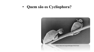 Nematomorpha, Acantocephala e Cycliophora.pptx