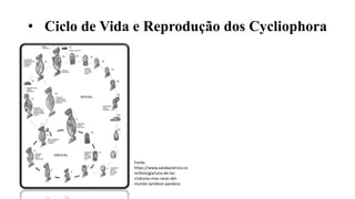 Nematomorpha, Acantocephala e Cycliophora.pptx