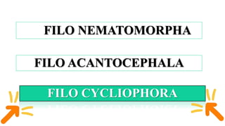 Nematomorpha, Acantocephala e Cycliophora.pptx
