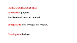 REPRODUCTEVE SYSTEM-
1st unisexual phylum.
Fertilization-Cross and internal.
Endoparasite :well developed and complex.
Development:indirect.
 