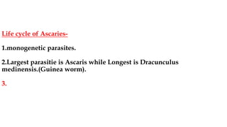 Life cycle of Ascaries-
1.monogenetic parasites.
2.Largest parasitie is Ascaris while Longest is Dracunculus
medinensis.(Guinea worm).
3.
 
