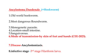Ancylostoma Duodenale (=Hookworm)
1.Old world hookworm.
2.Most dangerous Roundworm.
3.Monogenetic parasite.
4.Location-small intestine.
5.Sanguivorous.
6.Mode of transmission-by skin of feet and hands (CEE-2023).
7.Disease-Ancylostomiasis.
8.infective stage -3rd stage Filariform larva.
 