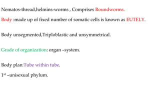 Nematos-thread,helmins-worms , Comprises Roundworms.
Body :made up of fixed number of somatic cells is known as EUTELY.
Body unsegmented,Triploblastic and unsymmetrical.
Grade of organization: organ –system.
Body plan:Tube within tube.
1st –unisexual phylum.
 